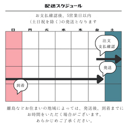  第11張的照片