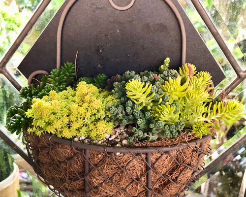 44184adea139a3f99675edc7a1b278