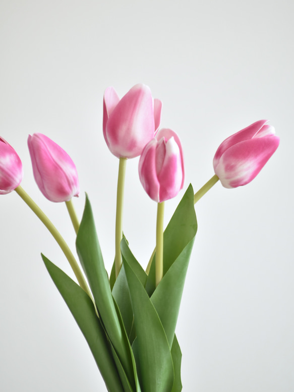 咲き続けるチューリップ(ピンクパープル)40ｃｍ　マジカルウォーター　癒しのフラワーインテリア 7枚目の画像