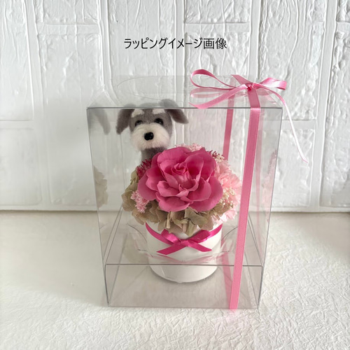 ちょこんと顔出す シュナウザー（小さめサイズ）＆ プリザーブド
