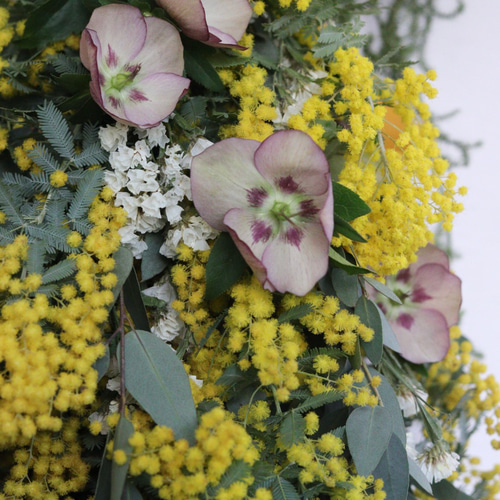 ✧3種類のミモザとクリスマスローズのナチュラルスワッグ✧*。° *。°