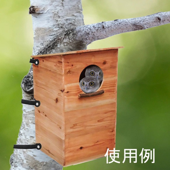 フクロウの巣箱（特大） 1枚目の画像