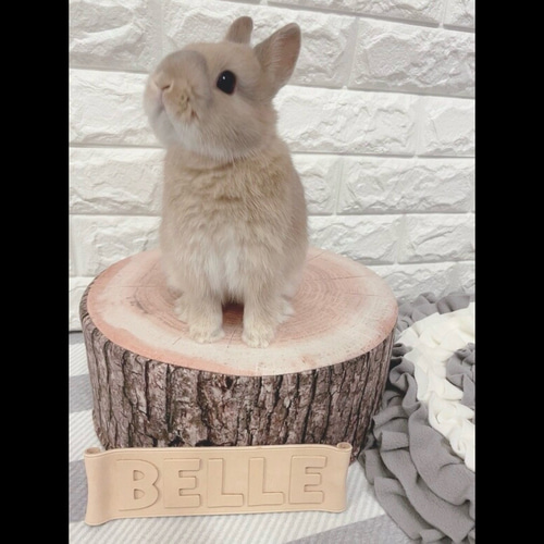 送料無料❤️レザー牛本革【大きいネームプレート】ネームタグ