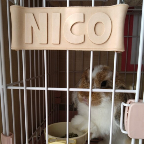 牛本革レザー【大きいネームプレート】オーダー受付ページ♡ネームタグ♡ペット鳥犬猫 送料無料❤️レザー牛本革【大きいネームプレート】ネームタグ