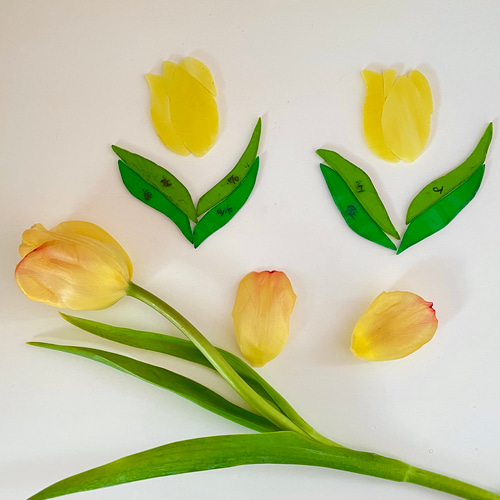 チューリップ ステンドグラス 枯れない花 ステンドグラスの花