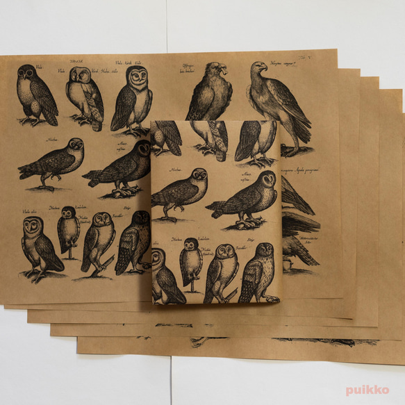 紙製ブックカバー　ヨンストン「鳥獣虫魚図譜」4（5枚セット） 1枚目の画像