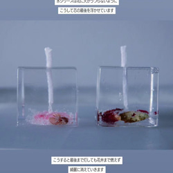 【桜氷】- ジェルキャンドル - / 春 / 桜 / ギフト 5枚目の画像