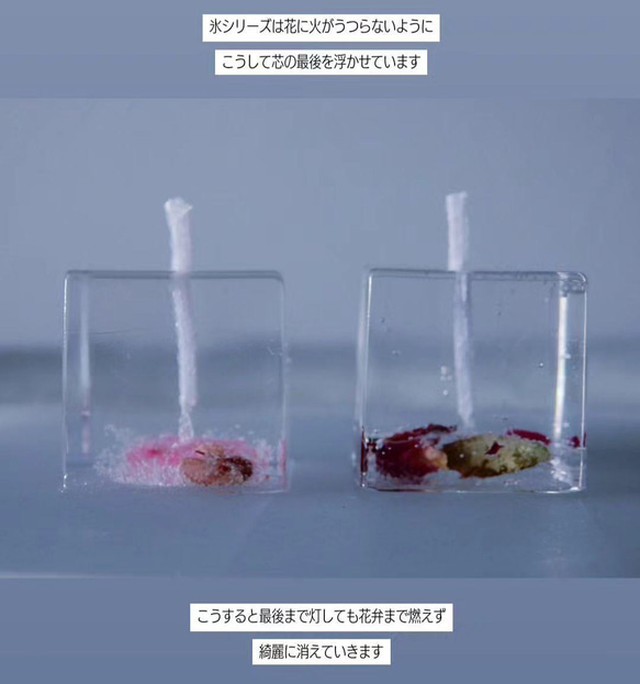 【桜氷】- ジェルキャンドル - / 春 / 桜 / ギフト 5枚目の画像