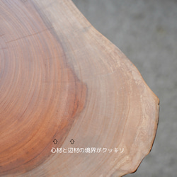 欅の一枚板 肉球みたいな形のコーヒーテーブル（高さ・カラー変更無料） 16枚目の画像