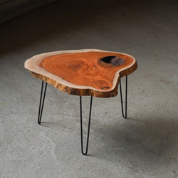 欅の一枚板 肉球みたいな形のコーヒーテーブル（高さ・カラー変更無料） 8枚目の画像