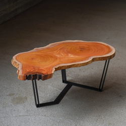 欅のアタマの輪切り 一枚板 ローテーブル 6枚目の画像