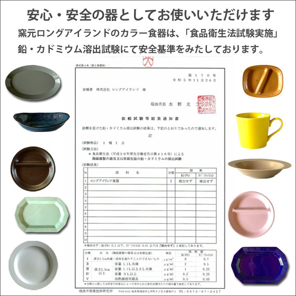 ホーソン オーバルプレート（24.5cm) 4color カレー皿 パスタ皿 陶器 美濃焼 日本製/r163 18枚目の画像