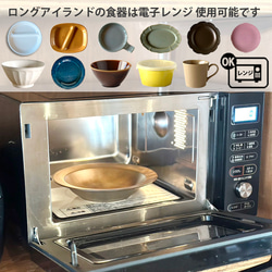 ホーソン オーバルプレート（24.5cm) 4color カレー皿 パスタ皿 陶器 美濃焼 日本製/r163 17枚目の画像