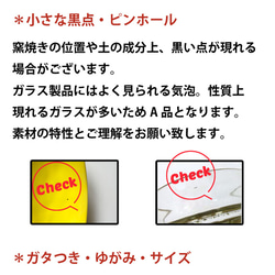 ホーソン オーバル プレート （19.5cm） 7color /r164 20枚目の画像