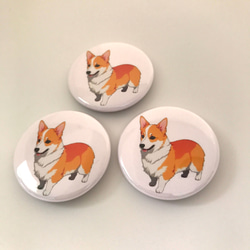 コーギー　缶バッジ　３個セット　ペット　犬　グッズ　corgi dog　イヌ 2枚目の画像