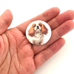 キャバリア　缶バッジ　３個セット　犬　イヌ　DOG　グッズ　ペット 3枚目の画像