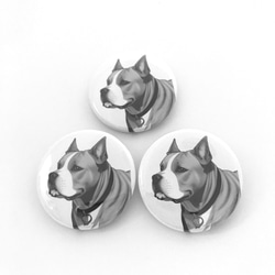 ピットブル　缶バッジ　３個　セット　犬　ペット　pit bull　DOG　HIP HOP　グッズ 1枚目の画像