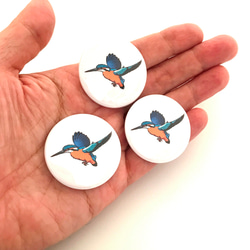 カワセミ　缶バッジ　３個　セット　翡翠　野鳥　グッズ　Kingfisher　バードウォッチング 2枚目の画像