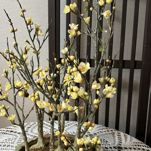 クレイの花(粘土)ロウバイ盆栽 その他アート コダマクレイの花