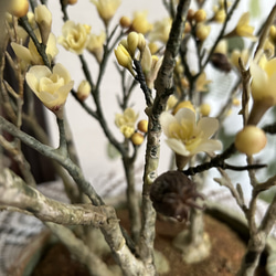 クレイの花(粘土)ロウバイ盆栽 4枚目の画像