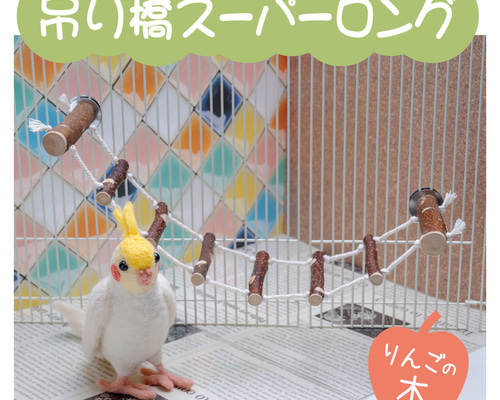 パーリんごちゃん♪ 41dVAI4KLnL._UF350,350_QL50_.jpg