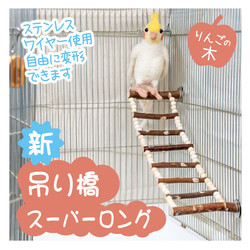 インコちゃんの✩.*˚吊り橋スーパーロング りんごの木 小型〜中型さん