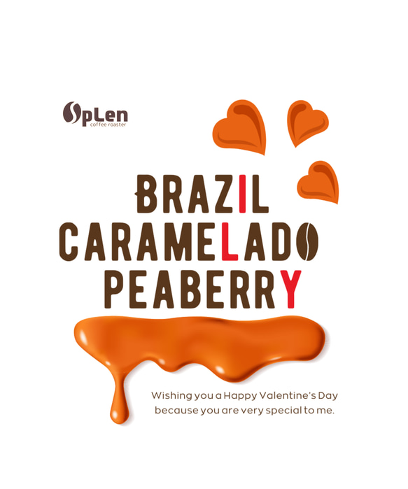 ブラジル キャラメラード ピーベリー（ドリップバッグ5個）/自家焙煎コーヒー 2枚目の画像