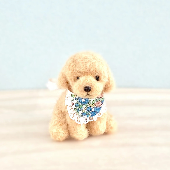 いつでもいっしょ♪ ふわふわ小さなアプリコットカラートイプードル