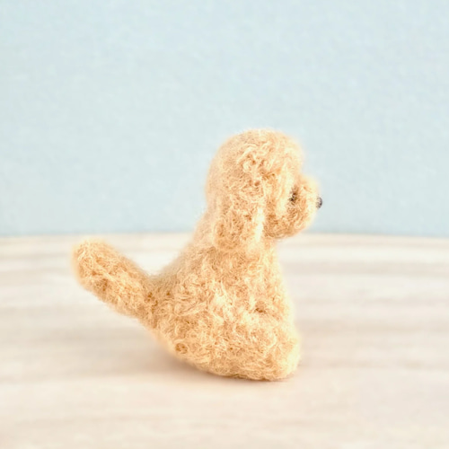 いつでもいっしょ♪ ふわふわ小さなアプリコットカラートイプードル