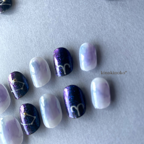 ネイルチッ12点 nailtip-z287.jpg