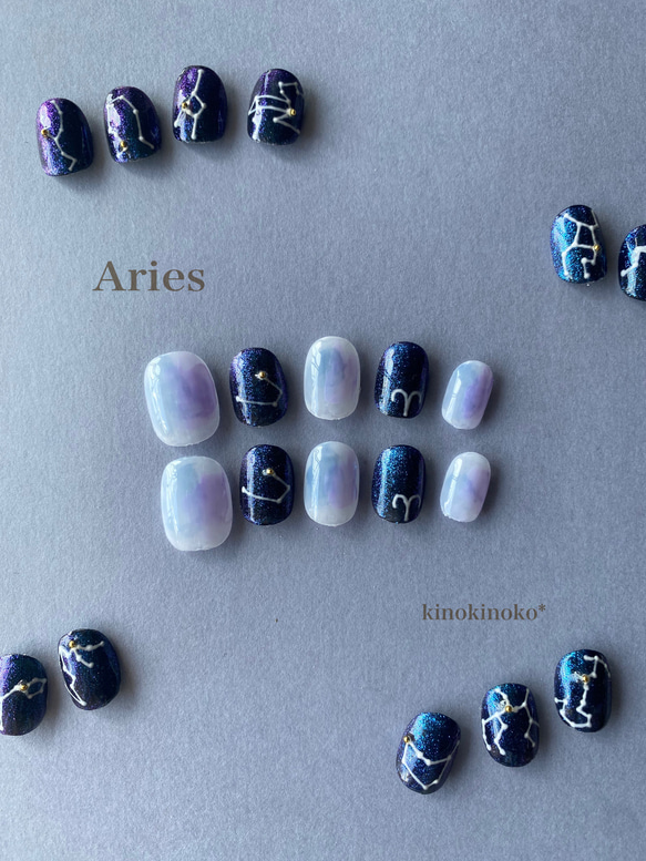 夜空に輝く12星座nail〈おひつじ座〉 ネイルチップ（つけ爪