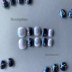 夜空に輝く12星座nail〈さそり座〉 ネイルチップ（つけ爪） kinokinoko