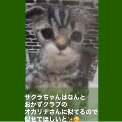 受注制作☆羊毛フェルトのマンチカン子猫 9枚目の画像
