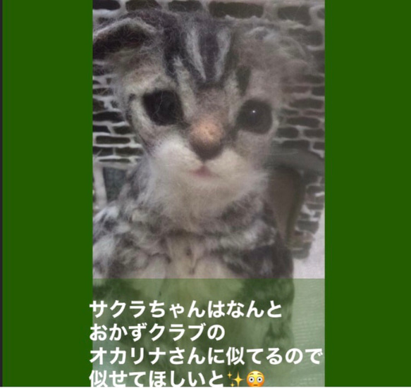 受注制作☆羊毛フェルトのマンチカン子猫 9枚目の画像