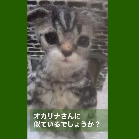 受注制作☆羊毛フェルトのマンチカン子猫 11枚目の画像