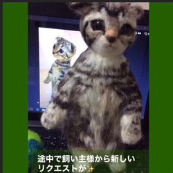 受注制作☆羊毛フェルトのマンチカン子猫 8枚目の画像