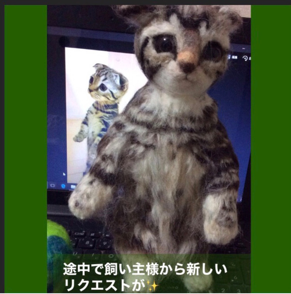 受注制作☆羊毛フェルトのマンチカン子猫 8枚目の画像