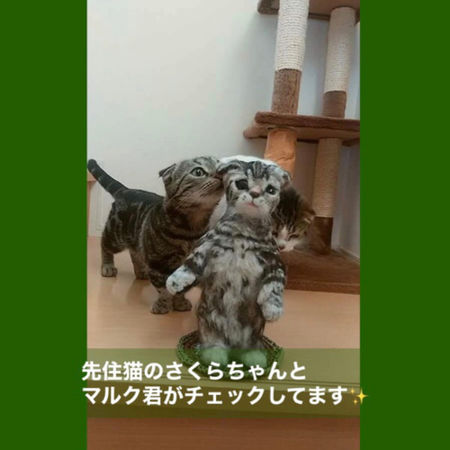 羊毛フェルト　猫　【もりりん。様】お取り置き分です 羊毛フェルト 猫 もりりん。様 お取り置き分です - メルカリ