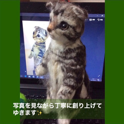 受注制作☆羊毛フェルトのマンチカン子猫 6枚目の画像