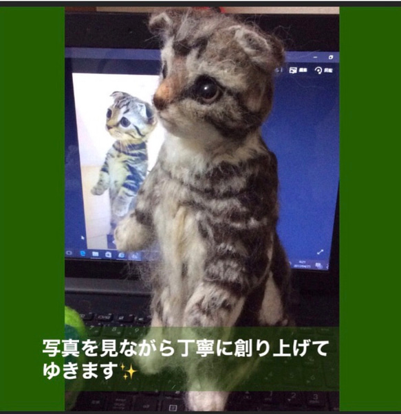 受注制作☆羊毛フェルトのマンチカン子猫 6枚目の画像