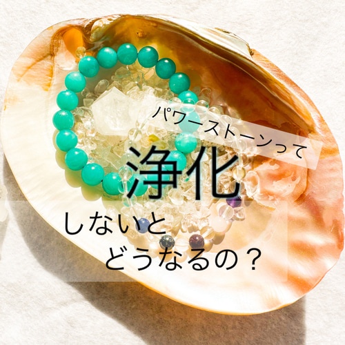 浄化セッ 貝殻 皿 イケチョウ貝 浄化トレー ヒマラヤ水晶さざれ石  