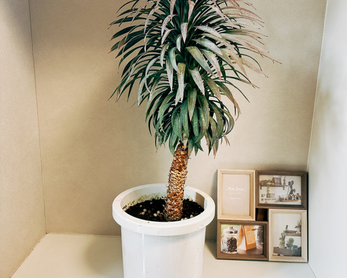 6f9a3d5b0d07c5ddfebf1182f769ab