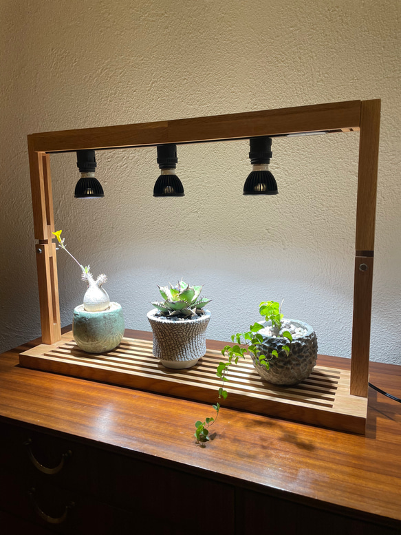 植物育成LEDライトスタンド［ナラ3灯］  Y2603179564(19890円)