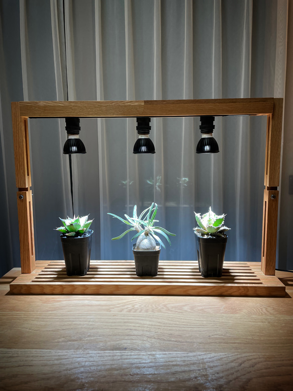 植物育成LEDライトスタンド［ナラ3灯］  Y2603179564(19890円)