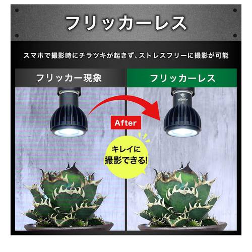 植物育成LEDライトスタンド［ナラ3灯］ 一輪挿し・花瓶・花器 8929
