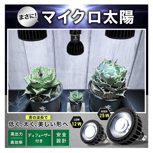 植物育成LEDライトスタンド［ナラ3灯］ 一輪挿し・花瓶・花器 8929