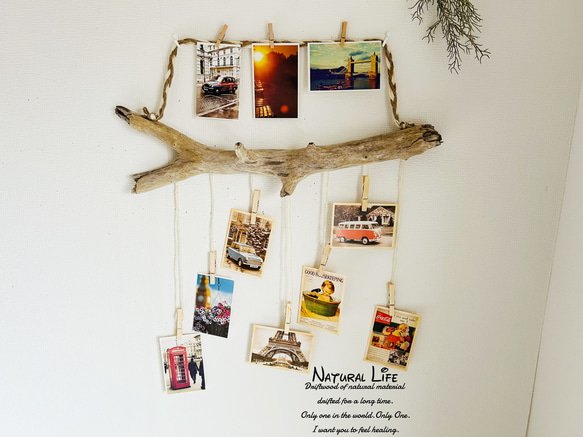 流木⁎✧✧ 写真ハンガー✧フォトフレーム✧壁掛け✧ウッドピンチ✧ナチュラル雑貨 2枚目の画像