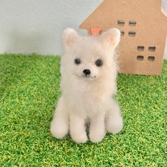 ⁂受注制作⁂ ちょこっとおすわりロングコートチワワ　⁂ 羊毛フェルト　犬　ミニチュア 8枚目の画像