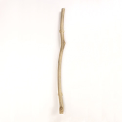 【温泉流木】スリムな枝とふくらむ枝跡のロング流木ドアハンドル・手すり 木製 自然木 流木インテリア 1枚目の画像