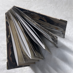 【T1】 アカデミアシリーズ おすそ分けファイル 本 カラス コラージュ 素材 10枚目の画像
